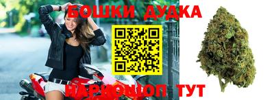 мдпв Гусев