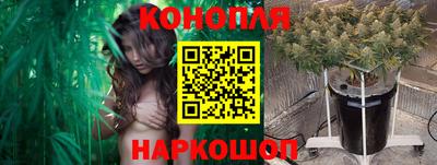 гидропоника Гусиноозёрск