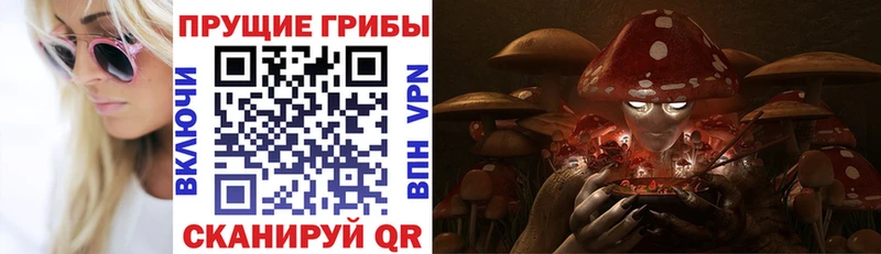Псилоцибиновые грибы ЛСД  Каспийск 