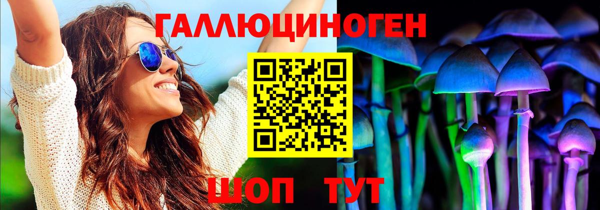 Псилоцибиновые грибы Psilocybe Каспийск